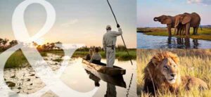 Private Botswana Safari With Abercrombie & Kent - $3000 Credit