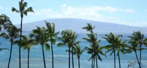 Hawaiian Adventure Tour