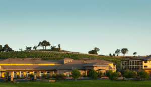 The Meritage Resort And Spa - Napa California